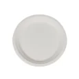10″ Round Bagasse Dinner Plates – 1