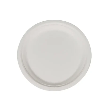 10" Round Bagasse Dinner Plates  - Case