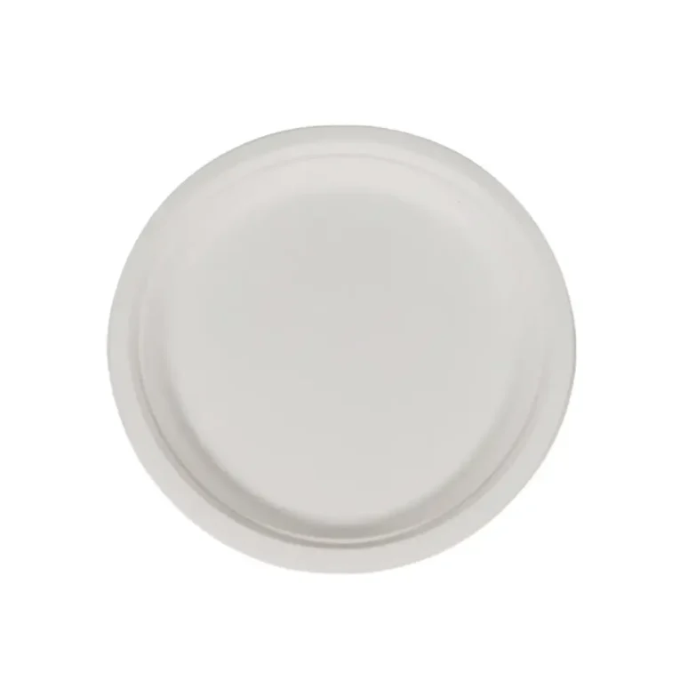 10″ Round Bagasse Dinner Plates – 1