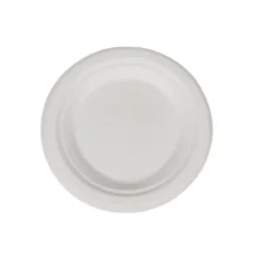 9" Round Bagasse Lunch Plates - Case