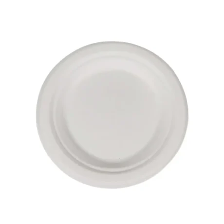 9" Round Bagasse Lunch Plates - 125 Pack