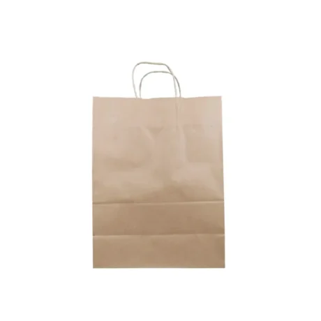 Kraft Twist Handle Bags 10x5x13 Vanity