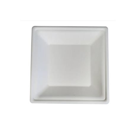 10" Square Bagasse Plates - White, Deep, Eco-Craze, 50 Pack