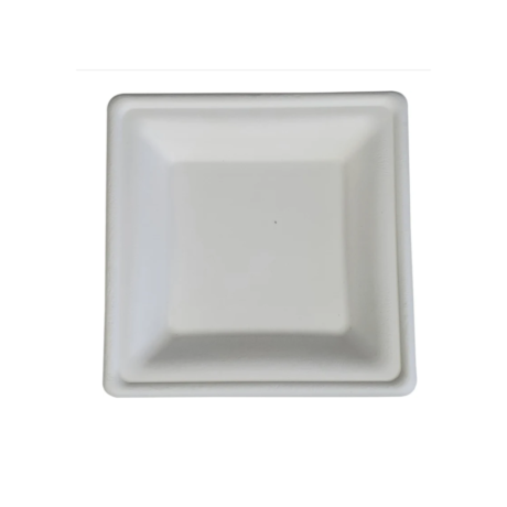 8" Square Bagasse Plates - White, Deep, Eco-Craze, 50 Pack
