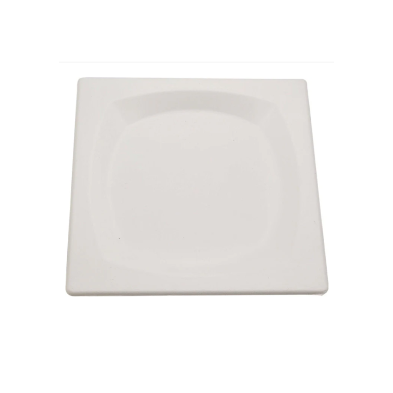 8 inch plate 1