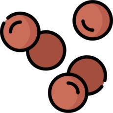 Lentils