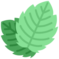 Mint