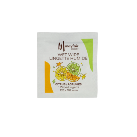 Mayfair Wet Wipes - Small, Case