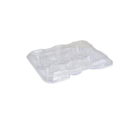 6 Large Tarts Container - 9.85" x 7.3" x 1.675" - Vespa VEL042