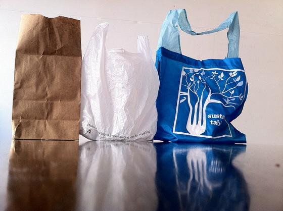 Plastic vs Paper Shopping Bags: Which Is Better for Your Business?